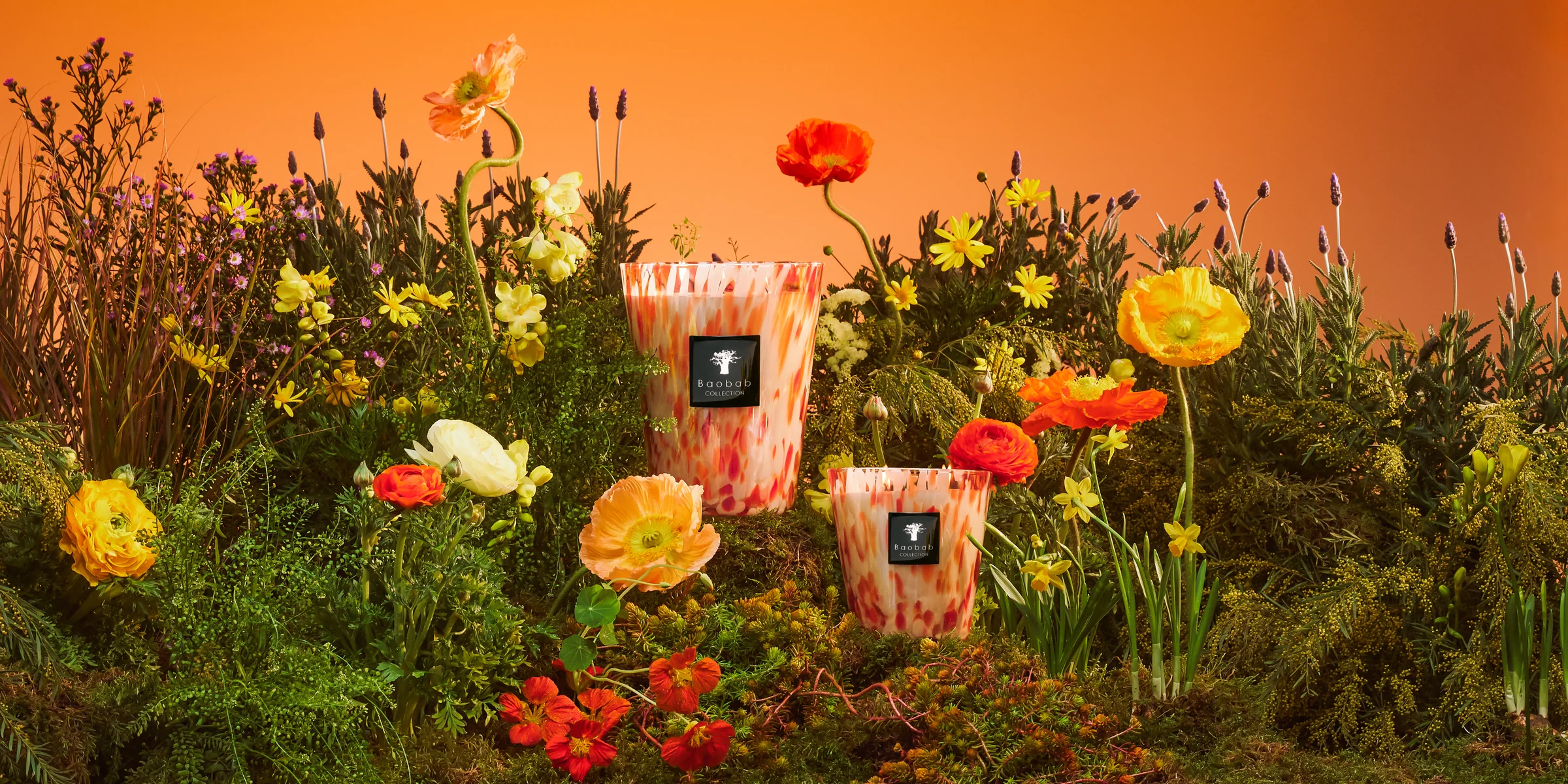 Global Cultures, Captured in Fragrance