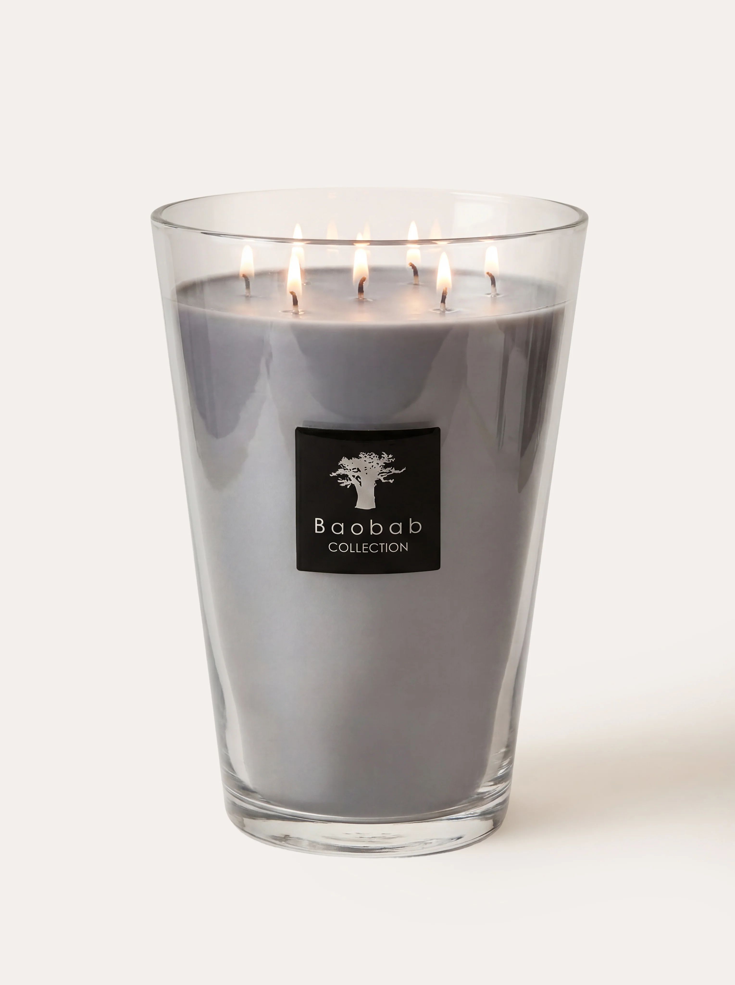 SCENTED CANDLE ALL SEASONS WHITE RHINO - Image 6